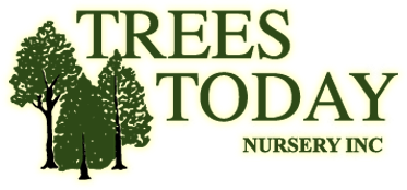 Trees Today Nursery
