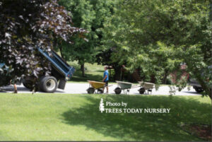 Wheelbarrows waiting to be filled with rock