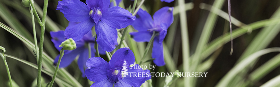 April Slider4