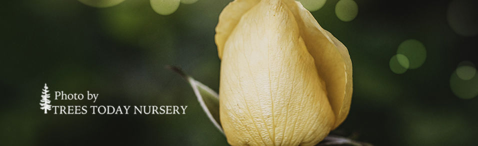 April Slider5