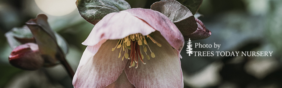 April Slider9