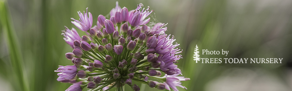 9H8A6901-summer slider