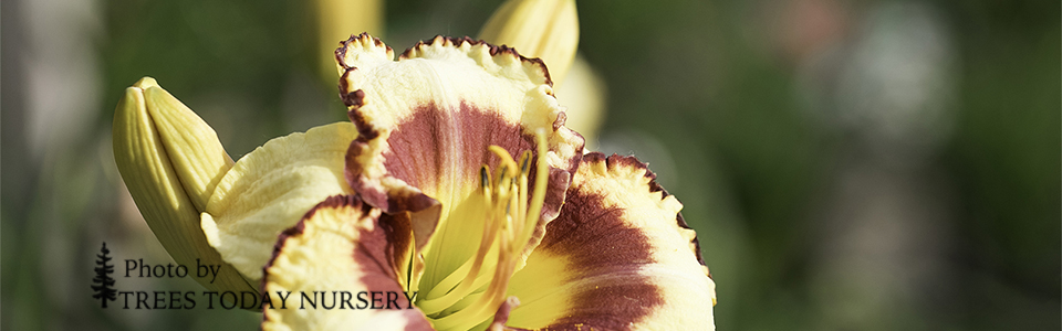 9H8A6906-summer slider