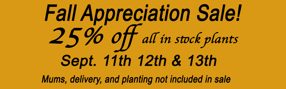 fall sale web 2026